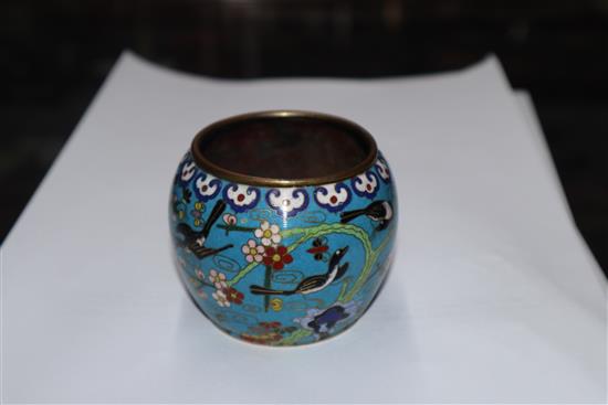 A Chinese cloisonne enamel water pot, Qing dynasty height 6cm